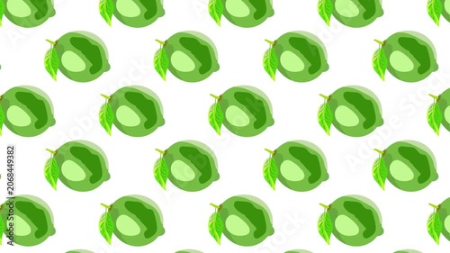 Lime seamless pattern, fresh green lime fruit stop motion animation on white background