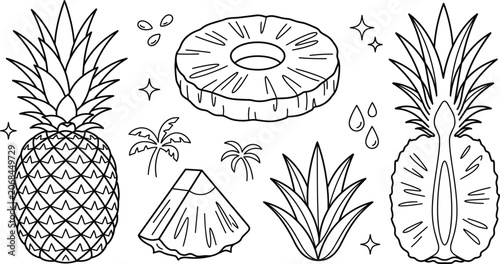Foto Fresh pineapple fruit tropical vector outline illustration set with whole half r