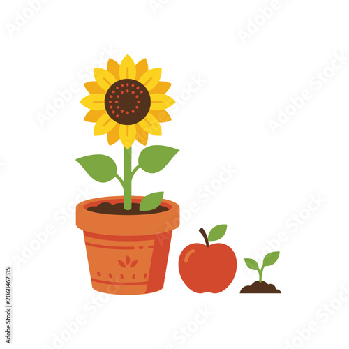Sunflower in pot with apple and sprout illustration floral plant