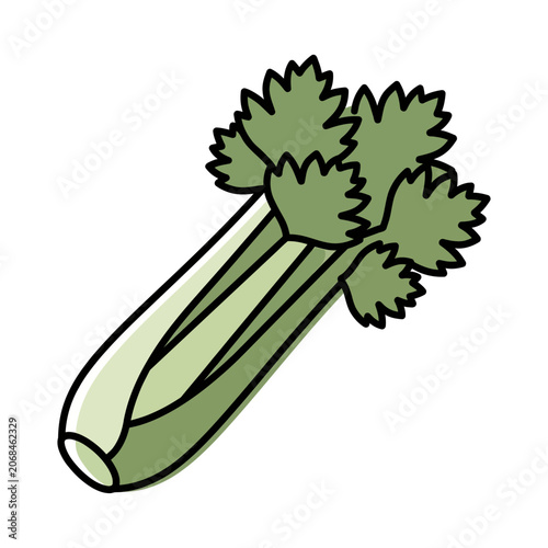 Stylized celery stalk vector illustration with leaves outline graphic design