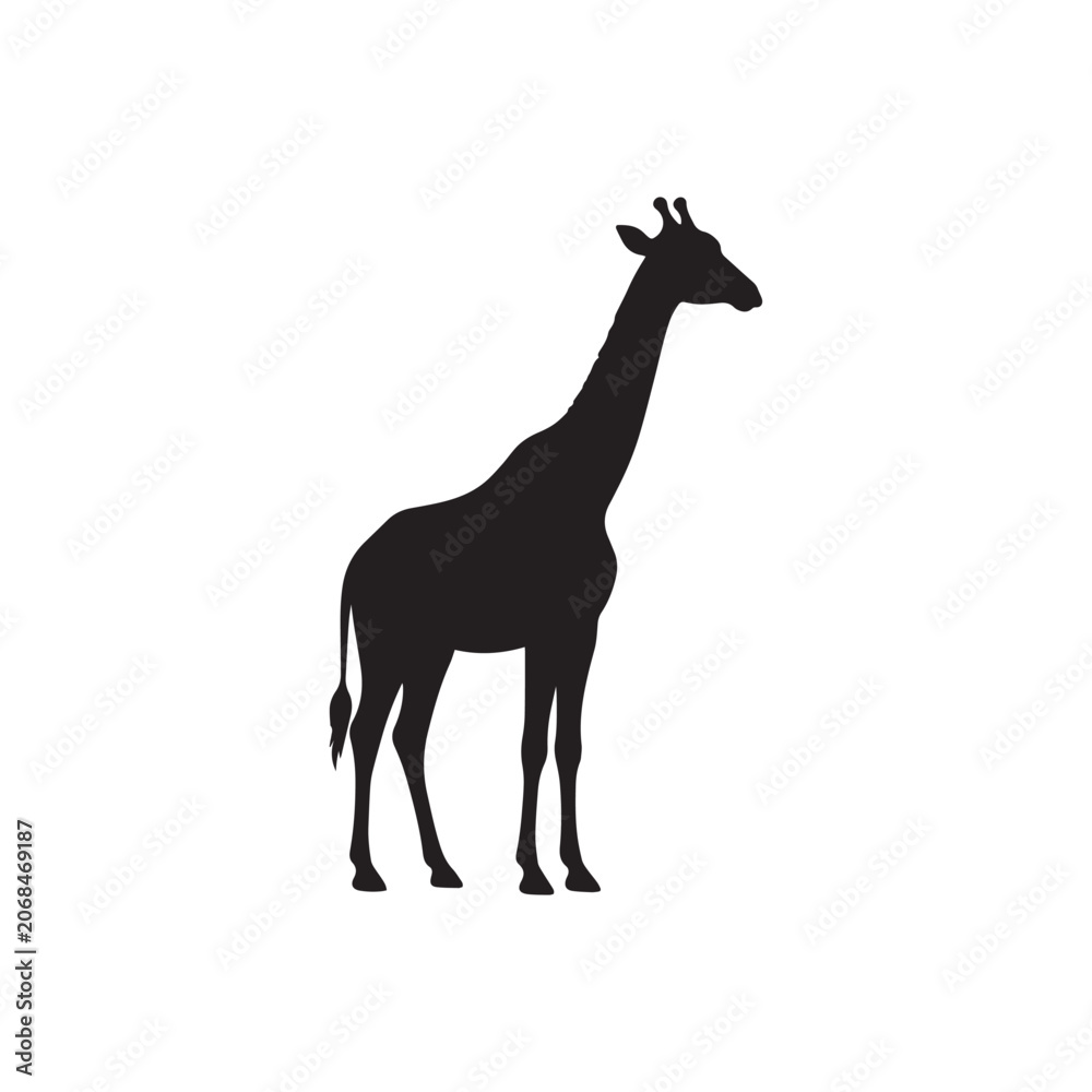 Fototapeta premium giraffe silhouette vector illustration
