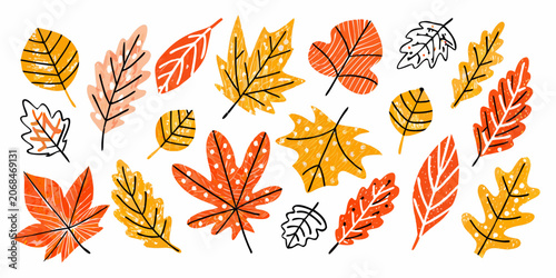 Bild auf Leinwand Autumn leaves collection colorful hand drawn vector illustration on white backgr