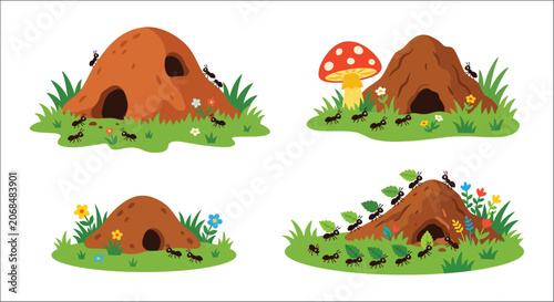 Canvastavla Anthills with ants and surrounding foliage a colorful vector illustration on a w