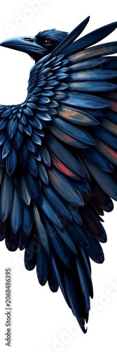 Painted portrait of raven with wingspan on white background, Shadow, Painting
