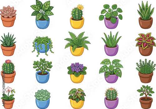 Cute potted houseplants set, vector illustration of cartoon indoor plants, succulents, cacti and home greenery