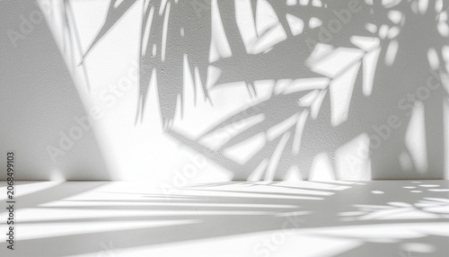 Tropical Plant Shadow Background