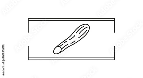 Abstract illustration of a stylized cucumber slice with seeds, isolated on white background