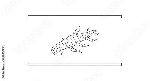 Abstract illustration of a stylized root or branch with lines, on a white background with horizontal bars.