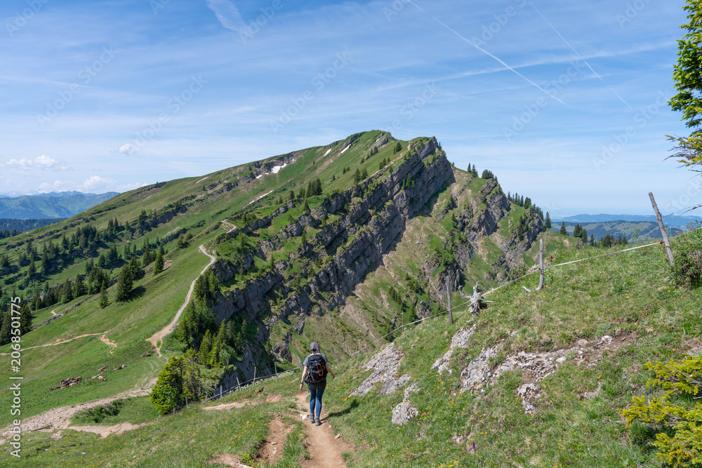 Obraz premium Hiking between Hochgrat Ridge and Rindalphorn - Scenic Alpine Landscape in Nagelfluhkette Bavaria