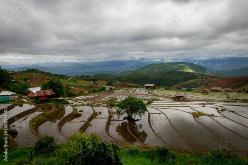 Breathtaking panorama of terraced rice fields beneath a stunning cloudy sky in a picturesque mountain landscape