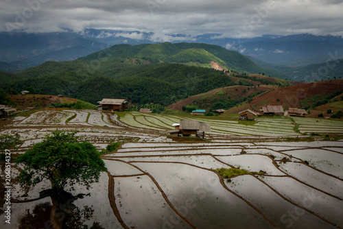 Serene landscape of terraced rice fields against a backdrop of lush green mountains and dramatic clouds