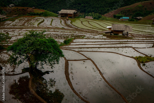 Tranquil view of terraced rice paddies mirroring the sky filled with clouds and shimmering water