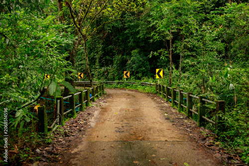 Curved path meandering through a vibrant green forest with directional signs amidst the serene natural landscape
