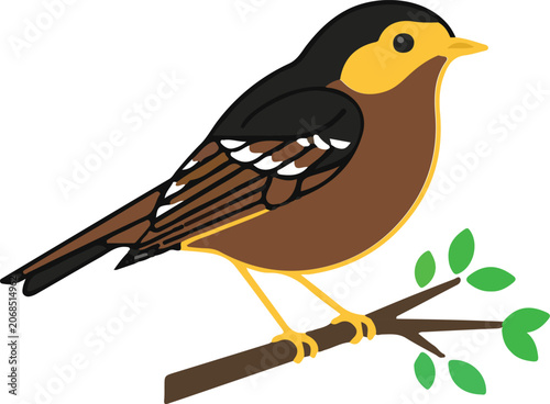 Adobe Illustrator Artwork