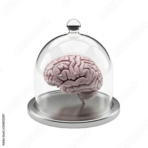 Human brain protected inside a glass dome cloche