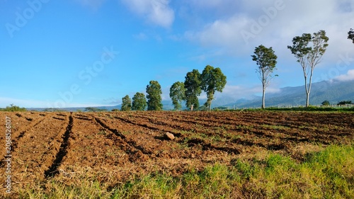 Plowed Agricultural Field in Mountain Province Philippines