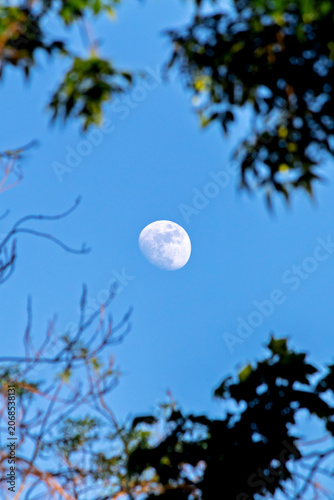 Billede på lærred Waxing gibbous moon in the blue sky