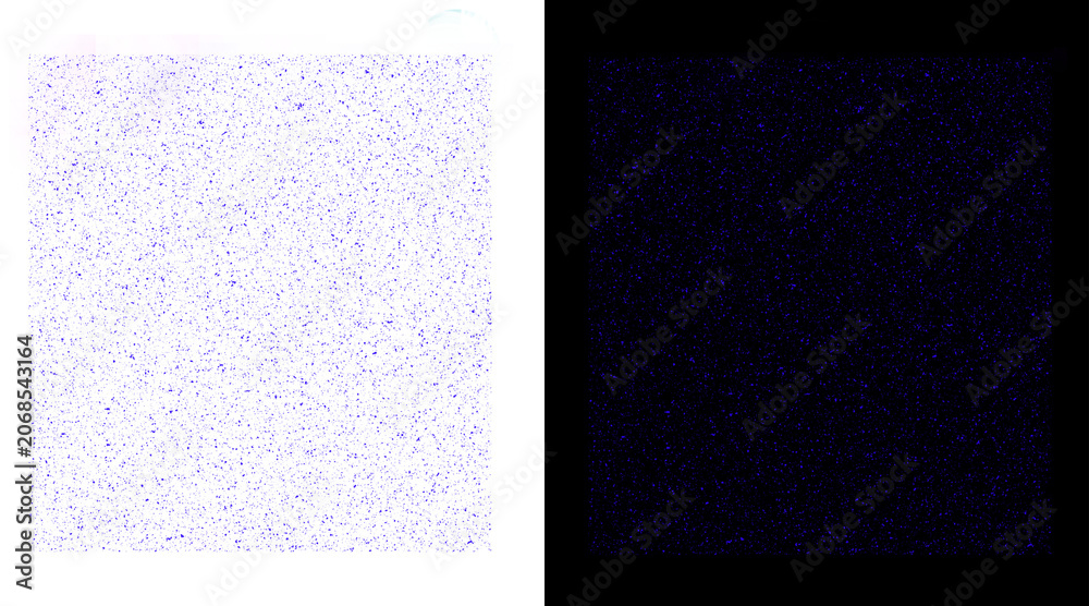 Fototapeta premium Microscopic view of cellular structures highlighted with fluorescent staining techniques