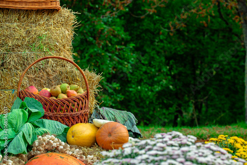 Fotografie Abundant harvest bounty displayed in a rustic basket on hay bales