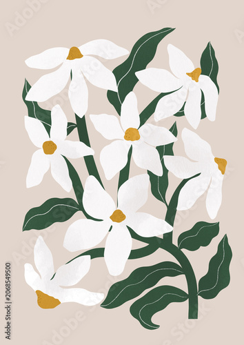 Minimalist Anemones Illustration