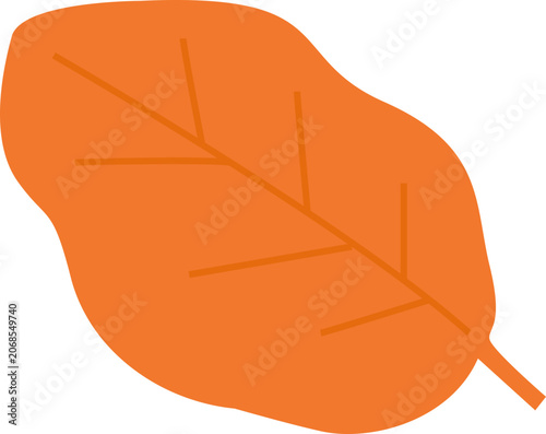 Autumn Fallen Leaf Illustration Isolated on White Background