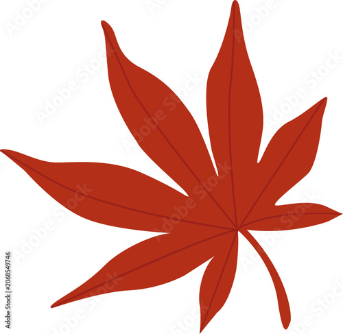 Autumn Maple Leaf Illustration Isolated on White Background