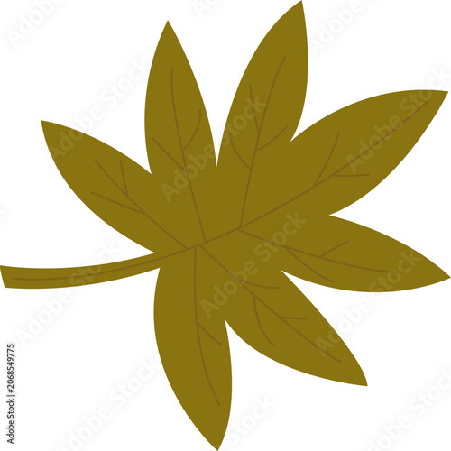 Autumn Maple Leaf Illustration Isolated on White Background