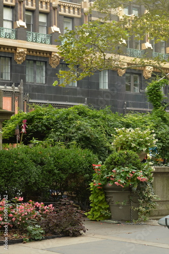 Urban street garden with greenery and historic facade