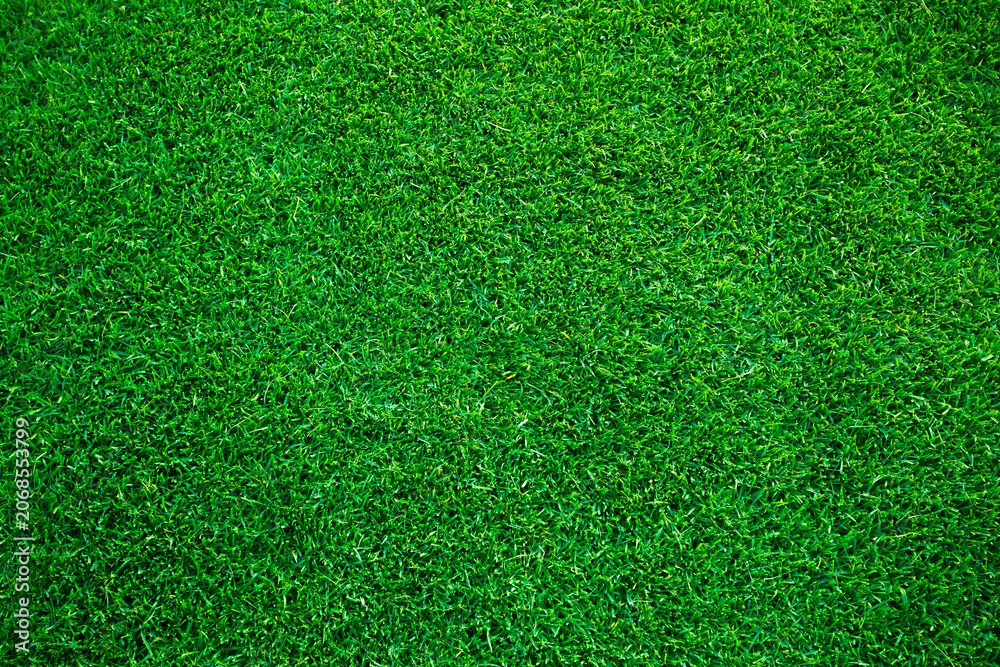 Naklejka premium High angle view of a lush green grass turf background