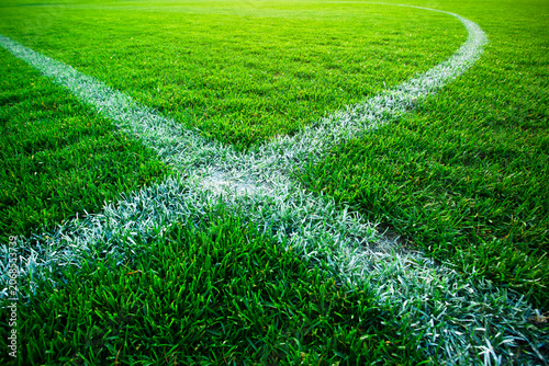 High angle view of a white line on a green grass sports field