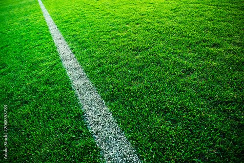 High angle view of a white line on a green grass sports field