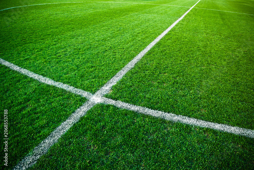 High angle view of a white line on a green grass sports field