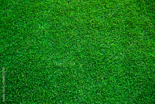 Photography High angle view of a lush green grass turf background