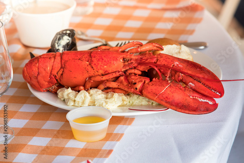 Foto Plated whole cooked lobster meal served with potato salad and melted