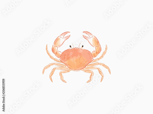 Cute watercolor crab illustration on white