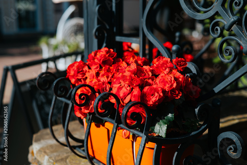 Φωτογραφία Bright red flowers fill a decorative planter placed next to an iron railing