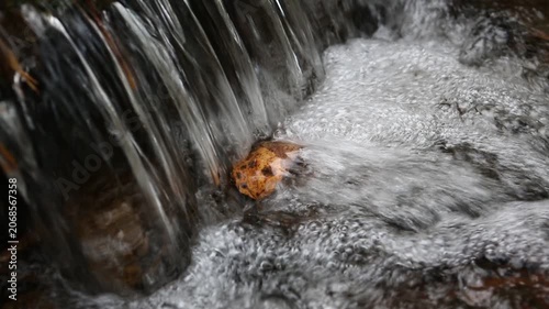 Bubbling water cascades gently over smooth stones, creating a peaceful atmosphere in a lush natural setting. This scene captures the beauty of nature and tranquility.
