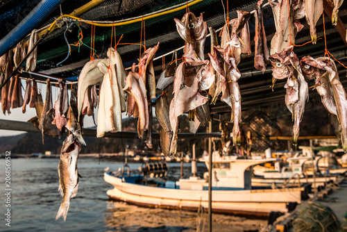  Scenery of a fishing village in the East Sea