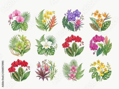 Colorful Tropical Flower Arrangements.