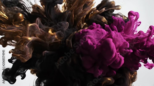 A captivating abstract image showcases swirling black and gold ink suspended in water, creating a dynamic and artistic visual effect against a clean white background.