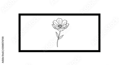 Minimalist Black and White Line Art of a Single Cosmos Flower in a Rectangle Frame