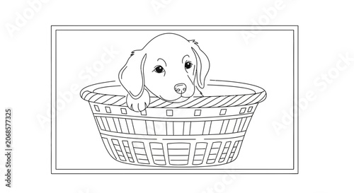 Adorable Dachshund puppy peeking out of a woven basket, line drawing, coloring page