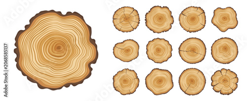 Wooden tree trunks with rings, rough timber split of round pine and oak log with bark. Tree trunks cut in cross section with annual rings, forest stump slices with growth age circle lines pattern