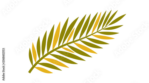 Minimalist Palm Leaf Silhouette, Tropical Plant Branch, Isolated on White