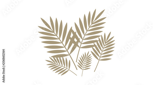 Elegant Tan Palm Fronds on White Background - Tropical Botanical Design Element