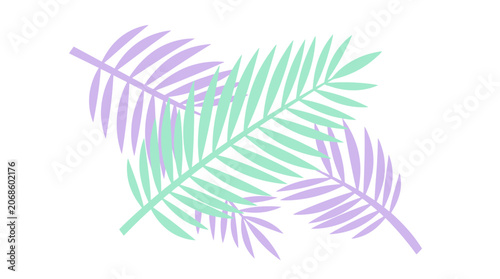 Pastel Palm Leaves Overlap on White Background, Tropical Design Elements