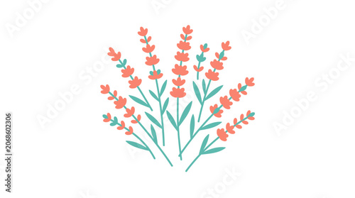 Hand-drawn coral lavender sprigs with green stems on white background, minimalist floral illustration.