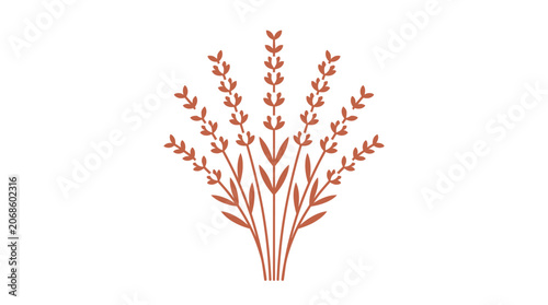 Minimalist Terracotta Lavender Stems Illustration Isolated on White Background