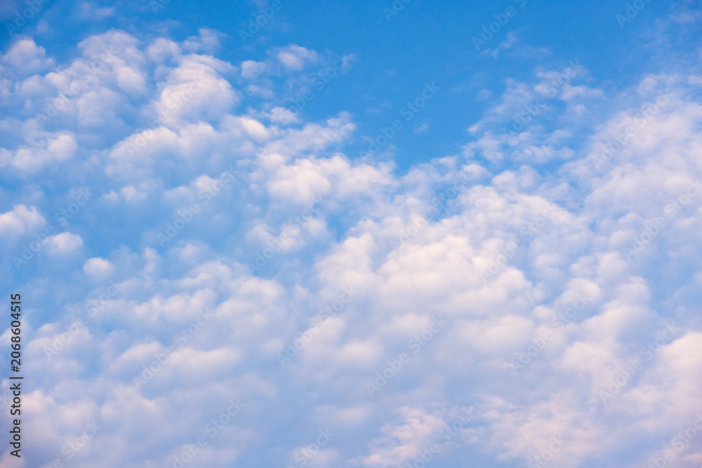 Obraz premium A tranquil blue sky filled with fluffy cumulus clouds creating a soft, airy texture and peaceful atmosphere ideal as a calming background or design element evoking freedom and open space