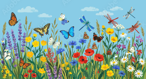Summer Meadow Flowers and Flying Butterflies